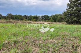 Istra, Medulin građevinsko zemljište 5171m2, poslovno stambene namjene  #prodaja, Medulin, Земля