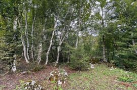 KUĆA S POMOĆNIM OBJEKTOM I ZEMLJIŠTEM NA OBALI RIJEKE LIKE, Gospić - Okolica, House