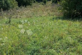 GORSKO KOTAR DELNICE PRILIKA ZA LUKSUZNO IMANJE, Delnice, Terrain