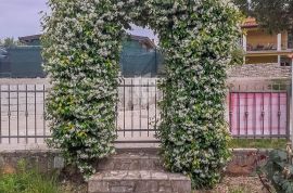 Buje, okolica-  Samostojeća kuća na mirnoj lokaciji!, Buje, House