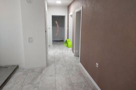 Kompletno renoviran dvosoban stan na Paliluli ID#5501, Appartement