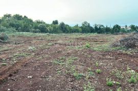 ISTRA, ŠIŠAN Građevinsko zemljište industrijsko poslovne namjene 4300 m2, Ližnjan, Terreno