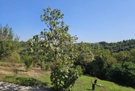 Kuća za odmor koja zaslužuje vašu pažnju, Varaždinske Toplice, Famiglia