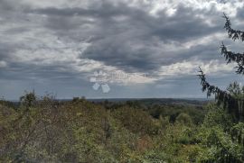 Velika građeviska parcela, voćnjak, 2bunara, Gvozd, Maison