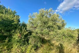 HUM - ISTRA, kuća za obnovu sa zemljištem, Buzet, Land