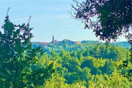 HUM - ISTRA, kuća za obnovu sa zemljištem, Buzet, Zemljište