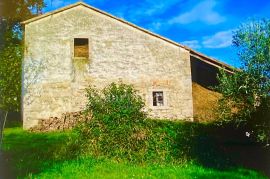 HUM - ISTRA, kuća za obnovu sa zemljištem, Buzet, Land