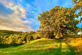 HUM - ISTRA, građevinsko zemljište sa starinama za obnovu, Buzet, Terrain