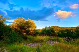 HUM - ISTRA, građevinsko zemljište sa starinama za obnovu, Buzet, Tierra