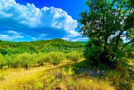 HUM - ISTRA, građevinsko zemljište sa starinama za obnovu, Buzet, Terreno