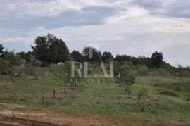 Štokovci kuća 20m2,građ. zemljište 2300m2 +poljop.6448m2 ! !, Svetvinčenat, Arazi