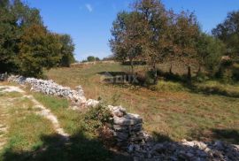 ISTRA, BALE - Građevinsko zemljište u mirnom naselju, Bale, Terrain