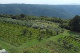 ISTRA, BARBAN - Prostrano građevinsko zemljište s otvorenim pogledom!, Barban, Terra