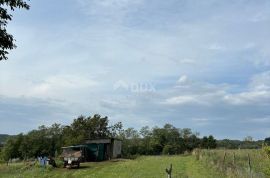 ISTRA, BARBAN - Prostrano građevinsko zemljište s otvorenim pogledom!, Barban, Land