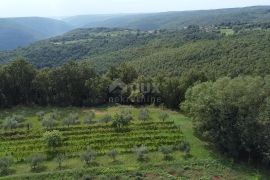 ISTRA, BARBAN - Prostrano građevinsko zemljište s otvorenim pogledom!, Barban, Zemljište