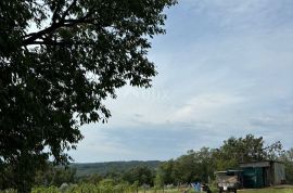 ISTRA, BARBAN - Prostrano građevinsko zemljište s otvorenim pogledom!, Barban, Terreno