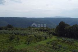 ISTRA, BARBAN - Prostrano građevinsko zemljište s otvorenim pogledom!, Barban, Land