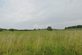 ISTRA, KAŠTELIR - Prostrano poljoprivredno zemljište, Kaštelir-Labinci, Land