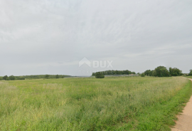 ISTRA, KAŠTELIR - Prostrano zemljište s gospodarskim objektom, Kaštelir-Labinci, Land