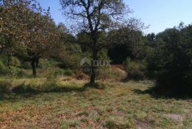 ISTRA, BALE - Građevinsko zemljište na pogodnoj lokaciji, Bale, Land