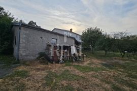 Kuća sa poslovnim prostorom 300 m2,garaža i okućnica, Čavle, Casa