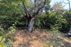 Risika, Vrbnik zemljište, Vrbnik, Terrain