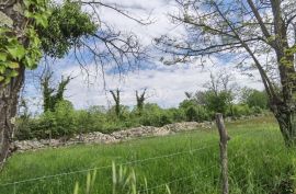 ISTRA, VIŠNJAN - GRAĐEVINSKO ZEMLJIŠTE ZA IZGRADNJU VILA ILI KUĆA ZA ODMOR, Višnjan, Terrain