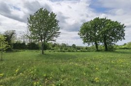 ISTRA, VIŠNJAN - GRAĐEVINSKO ZEMLJIŠTE ZA IZGRADNJU VILA ILI KUĆA ZA ODMOR, Višnjan, Land