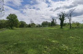 ISTRA, VIŠNJAN - GRAĐEVINSKO ZEMLJIŠTE ZA IZGRADNJU VILA ILI KUĆA ZA ODMOR, Višnjan, Arazi