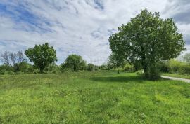 ISTRA, VIŠNJAN - GRAĐEVINSKO ZEMLJIŠTE ZA IZGRADNJU VILA ILI KUĆA ZA ODMOR, Višnjan, Arazi