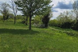 ISTRA, VIŠNJAN - GRAĐEVINSKO ZEMLJIŠTE ZA IZGRADNJU VILA ILI KUĆA ZA ODMOR, Višnjan, Terreno