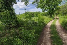 ISTRA, VIŠNJAN - GRAĐEVINSKO ZEMLJIŠTE ZA IZGRADNJU VILA ILI KUĆA ZA ODMOR, Višnjan, Terrain