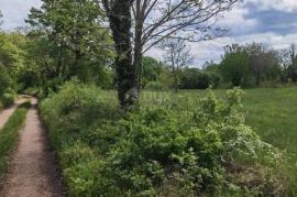 ISTRA, VIŠNJAN - GRAĐEVINSKO ZEMLJIŠTE ZA IZGRADNJU VILA ILI KUĆA ZA ODMOR, Višnjan, Land