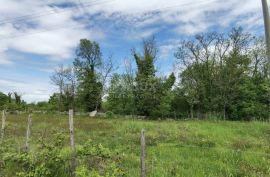 ISTRA, VIŠNJAN - GRAĐEVINSKO ZEMLJIŠTE ZA IZGRADNJU VILA ILI KUĆA ZA ODMOR, Višnjan, Land