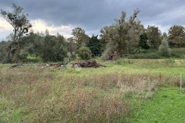 GRAĐEVINSKO ZEMLJIŠTE LIČKI OSIK 4640 m2, Gospić - Okolica, Terreno