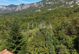 Crikvenica, lijepa kuća na mirnoj lokaciji, Crikvenica, Kuća