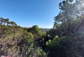 ISTRA, KAVRAN, POLJOPRIVREDNO ZEMLJIŠTE, 150 M DO MORA, Marčana, Terrain