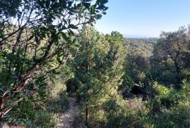 ISTRA, KAVRAN, POLJOPRIVREDNO ZEMLJIŠTE, 150 M DO MORA, Marčana, Terra