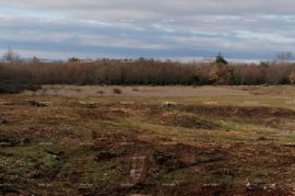 Građevinsko zemljište Prodaje se građevinsko zemljište, Tar (Tar-Vabriga), Tar, Land