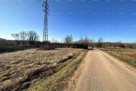 Građevinsko zemljište Prodaje se građevinsko zemljište, 3697 m2, okolica Motovuna, Motovun, أرض