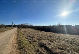 Građevinsko zemljište Prodaje se građevinsko zemljište, 3697 m2, okolica Motovuna, Motovun, Land