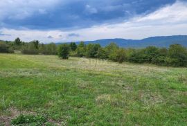 ISTRA, MOTOVUN - Kompleks građevinskog i poljoprivrednog zemljišta s pogledom na Motovun, Motovun, Land