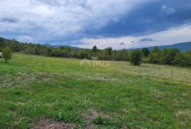 ISTRA, MOTOVUN - Kompleks građevinskog i poljoprivrednog zemljišta s pogledom na Motovun, Motovun, Land