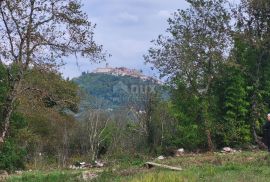 ISTRA, MOTOVUN - Kompleks građevinskog i poljoprivrednog zemljišta s pogledom na Motovun, Motovun, Terra