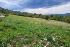 ISTRA, MOTOVUN - Kompleks građevinskog i poljoprivrednog zemljišta s pogledom na Motovun, Motovun, Land