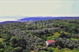 OTOK KRK - Kuća na osami, 400 maslina, 10.000 m2 terena!, Dobrinj, Terrain