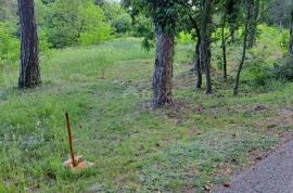 ISTRA, OKOLICA LABINA - Građevinsko zemljište u mirnom okruženju, Sveta Nedelja, Terreno