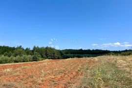 Građevinsko zemljište Vižinada, Vižinada, Arazi