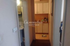 Južni bulevar, 2.5, 57m2, V, cg, terasa ID#1739, Vračar, Appartment