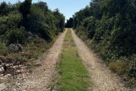 Građevinsko zemljište komercijalne namjene, Šišan, Istra, Ližnjan, Land